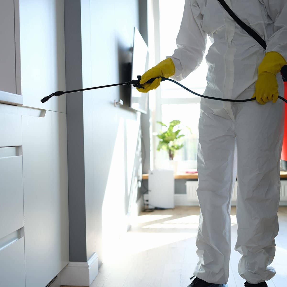 Exterminator using pest control products inside a room